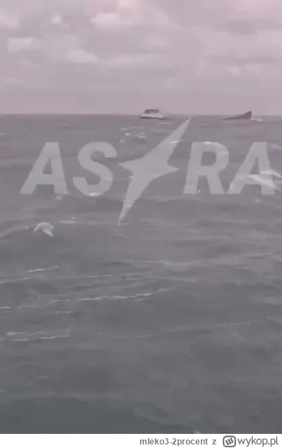 mleko3-2procent - Przegubowy ruski tankowiec
https://x.com/NOELreports/status/186825...