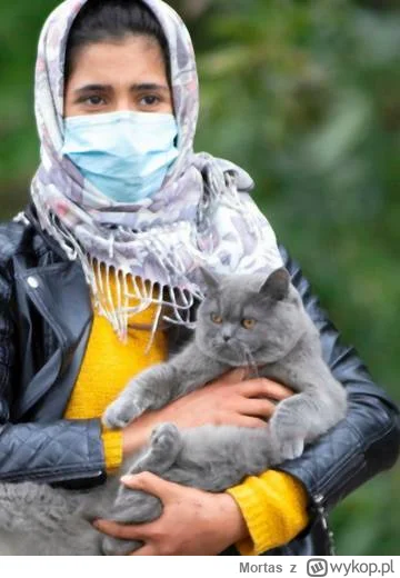 Mortas - Już pokazali biednego zmarzniętego kotka, który razem z migrantami przyszedł...