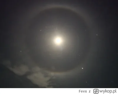 Fevx - Tu z ręki w trybie nocnym