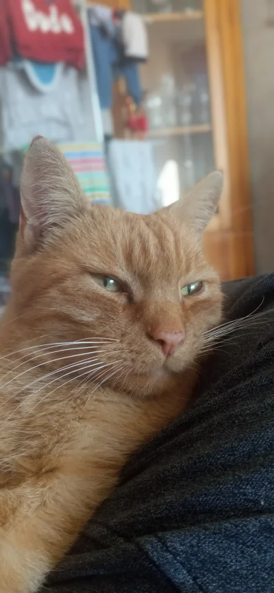 michal-sitko - @Zmorka: