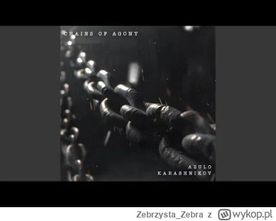 Zebrzysta_Zebra - Chains Of Agony
#techno #rave #muzyka #mirkoelektronika #muzykaelek...