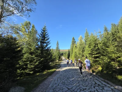 SzycheU - Joł 
#góry #podróże #szycheucontent