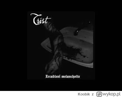 Koobik - Tu macie s--------a ʕ•ᴥ•ʔ

Melancholijnie i elegancko 

#blackmetal