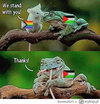B.....5 - #palestyna #lbtq