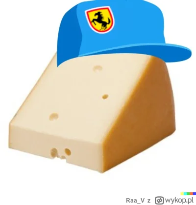 Raa_V - #f1 Nicki Gouda