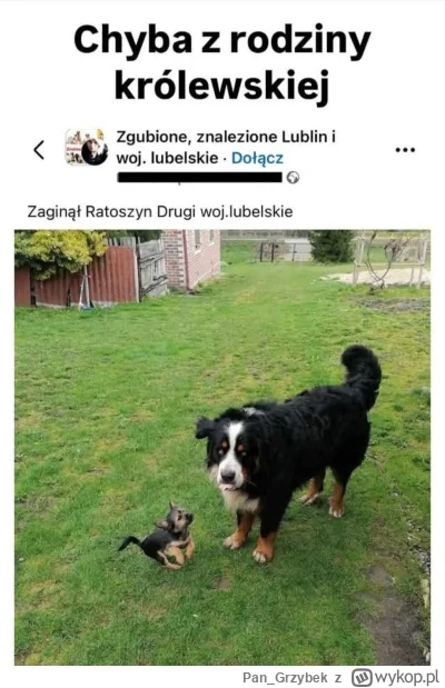 Pan_Grzybek - #heheszki #fredikamionka #ratoszyndrugi #memy #smiesznypiesek