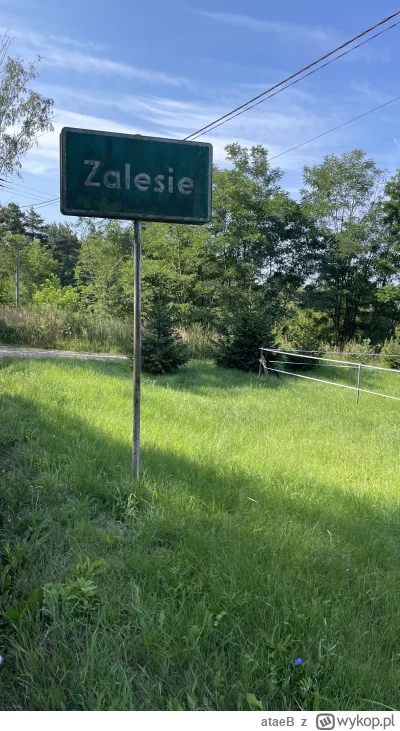 ataeB - #zalesie