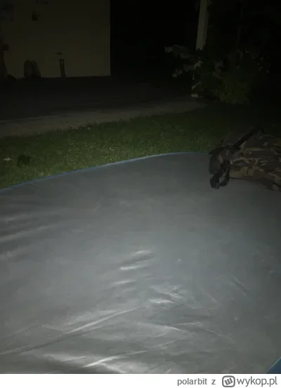 polarbit - Mirki, wlasnie marka wyrzucila mnie z romu :( Wzialem se jakies cieple ciu...