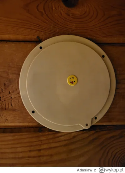 Adaslaw - Mireczki, w drewnianym dachu mojego domu, który kupiłem od poprzednich właś...