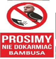 WiIkMcQuey - >ja w życiu bambusowi nie dałem nawet złotówki
@LM317K: I za to Cię sza...