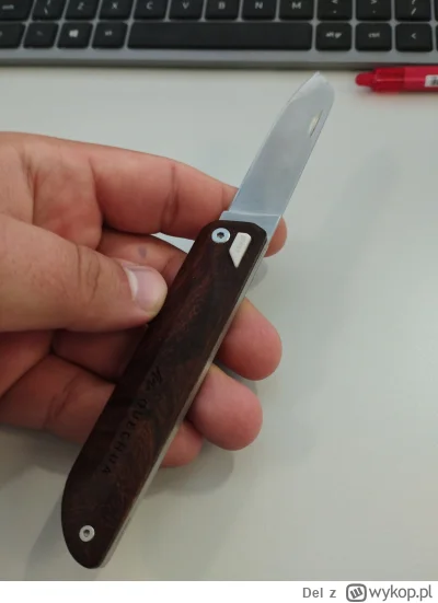 Del - @Homunculuszhejtowannabe_oskarek Wrzucam, bo wcześniej zapomniałem.