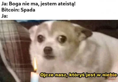 sikpi - #kryptowaluty #bitcoin