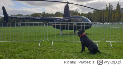 Richtig_Piwosz - Byliśmy z małpą bez kagańca w okolicy Stadionu Śląskiego gdzie bazę ...