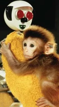 tomasz_mazur - @Synco: