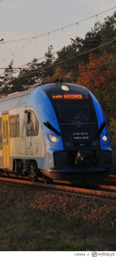 catsky - @choochoomotherfucker 
Ale złodupiec