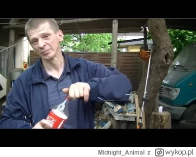 MidnightAnimal - https://www.youtube.com/watch?v=qXIexrtPo2M&abchannel=SzkolnaShorts ...