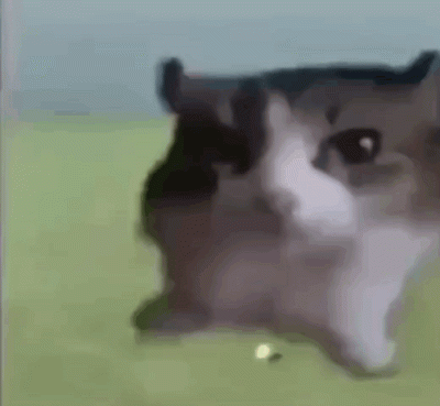 dodi-lukebakio - #f1 Ja po prostu chcę Olka w dobrym samochodzie :(