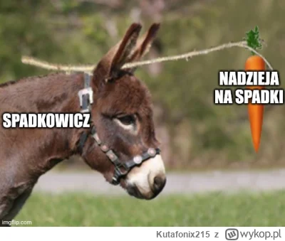 Kutafonix215 - Ciekawe czy jakis spadkowicz przemowi jutro ludzkim glosem
#nieruchomo...