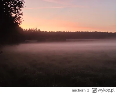 michorn - Darz Bór wykopowej społeczności 😉💪