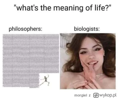 morgiel - #heheszki #humorobrazkowy