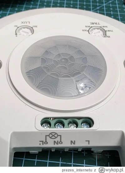 prezes_internetu - Cześć elektryczne Mirasy i prądowe Mirabele - lajkonik here, miałe...