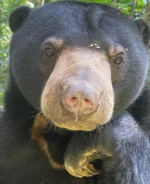 annlupin - co se tam myślisz w głowie