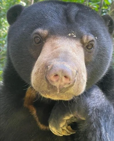 annlupin - co se tam myślisz w głowie