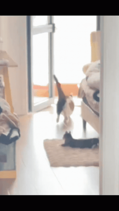 jestemtakizmeczony - kociąg kontra ciężarówka na przejeździe kolejowym