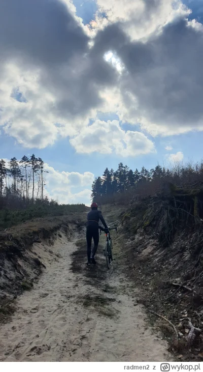 radmen2 - 40 885 + 132 = 41 017

Po Brodnickim Parku Krajobrazowym

#rowerowyrownik

...