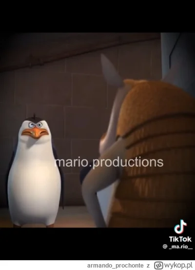 armando_prochonte - https://www.tiktok.com/@knechtu/video/7447339822785662210