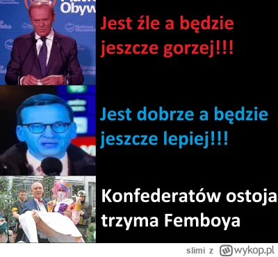 slimi - #wybory #polska #tusk #morawiecki #korwin #debata #femboy