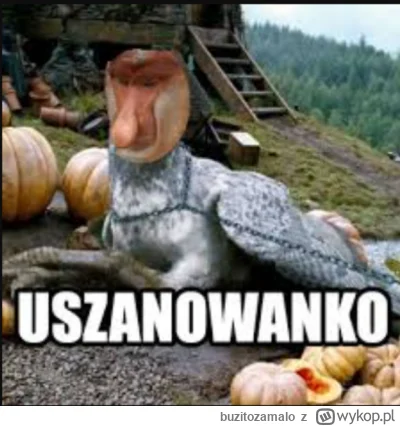 buzitozamalo - #harrypotter