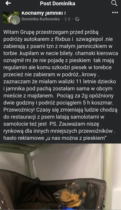 Pardo - Płacz bo nie mogła wziąć pieska, mimo że w regulaminie jasno jest napisane że...