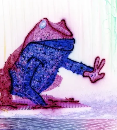 hirek_garwon - Stop! Żaby pas!