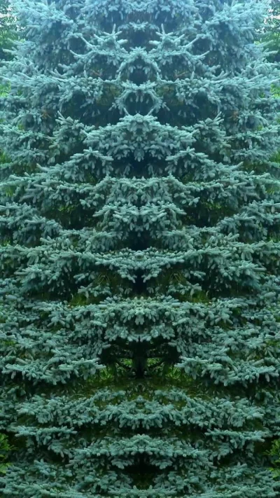 cheeseandonion - #trip #flashback #marshaltown