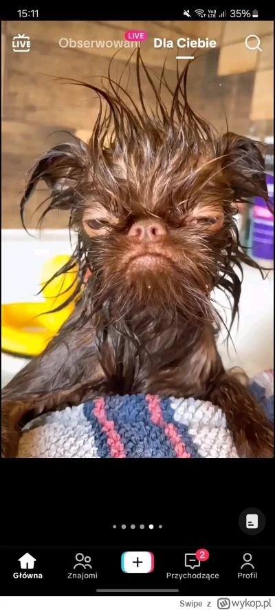 Swipe - #famemma #wardega
no to teraz niech clout zrobi turniej na najbardziej zadban...