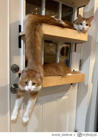 leonid_bialkow - hejsia