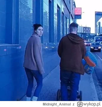 Midnight_Animal - Dziś ilość skryptów została potrojona, nowe konto, nowy ja, póki co...