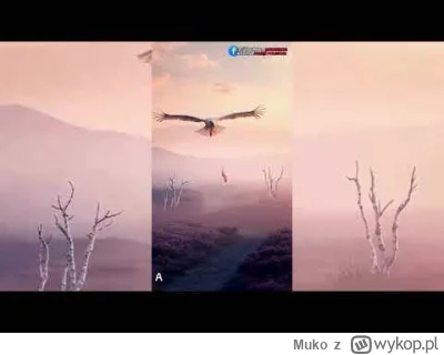 Muko - Tematycznie na 11 listopada :
https://youtu.be/y8JhPX2yd7E
#11listopada #patri...