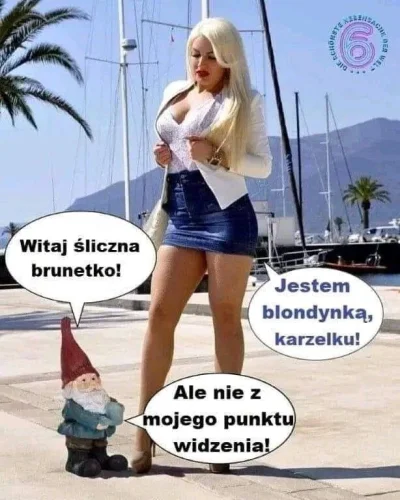 wfyokyga - Wrocławski wieczorny humor xdd
#humor #grazynacore #wroclaw #heheszki