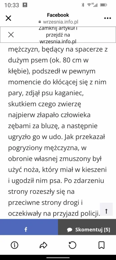 owsiki - Bonus w komentarzu ( ͡° ͜ʖ ͡°)
#pieski #bambinizmmotzno #patologiazmiasta