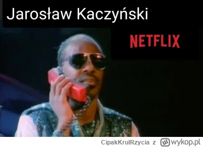 CipakKrulRzycia - #kaczynski #polityka #wybory #netflix #heheszki #humorobrazkowy