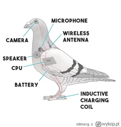 nilmerg - na reklamie filmu Spielberga sylwetka ptaka, łączcie kropki.. 
#ufo