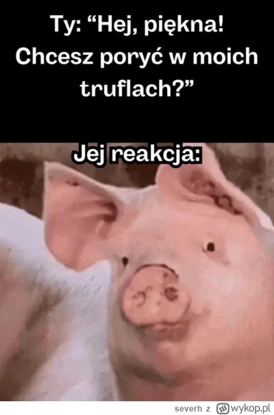 severh - Jak wyrwać fajną świnkę na bibie?
Lekcja pierwsza ( ͡º ͜ʖ͡º)

SPOILER