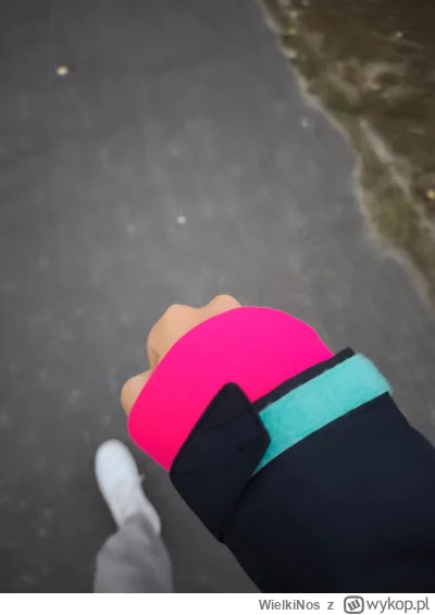 WielkiNos - Wyszłam sobie dziś o 6:00 na spacer. Idę ulicą, a na trawniku tuż obok ch...