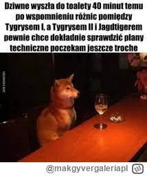 makgyvergaleriapl