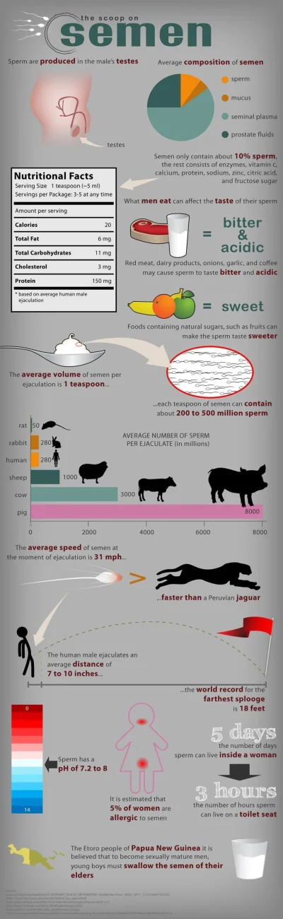 cheeseandonion - #infografika