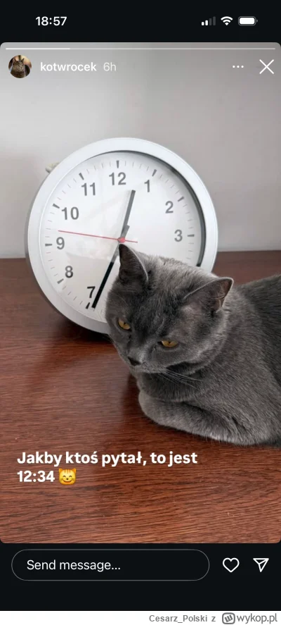 Cesarz_Polski - #kotekwrocek #wroclaw
