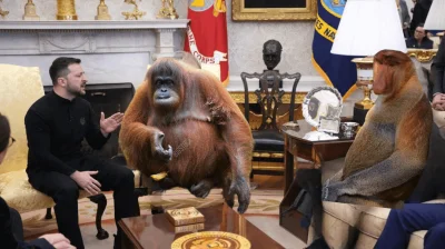 krystiano_ps3 - Pioter, gdzie ja jestem kurła?
#heheszki #usa #trump