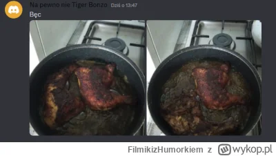 FilmikizHumorkiem - Tiger to ma się czym chwalić na dyskordzie xD
#bonzo #patostreamy